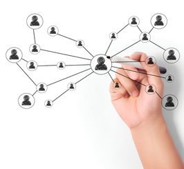 車管所7月1日起駕照新政 沒考駕照的人有福了！